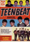 Teenbeat annual.jpg (221834 bytes)